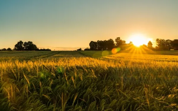 Enhancing Patent Draft Quality: Insights from Syngenta Participations vs Controller Of Patents And Designs